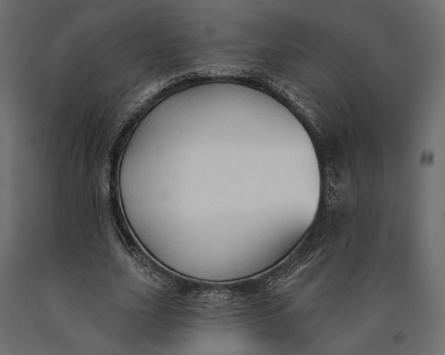 X0000090460631200708031242