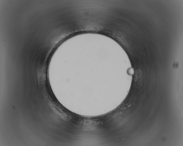 X0000090460632200708031242