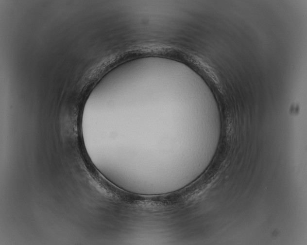X0000090460633200708031242