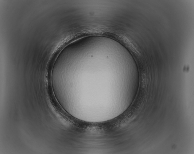 X0000090460634200708031242