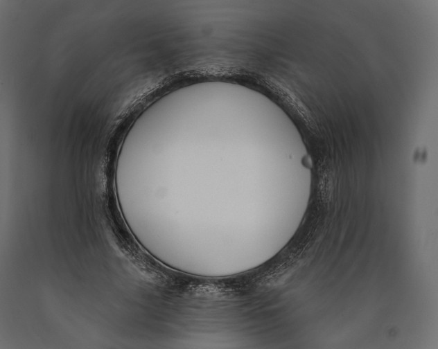 X0000090460635200708031242