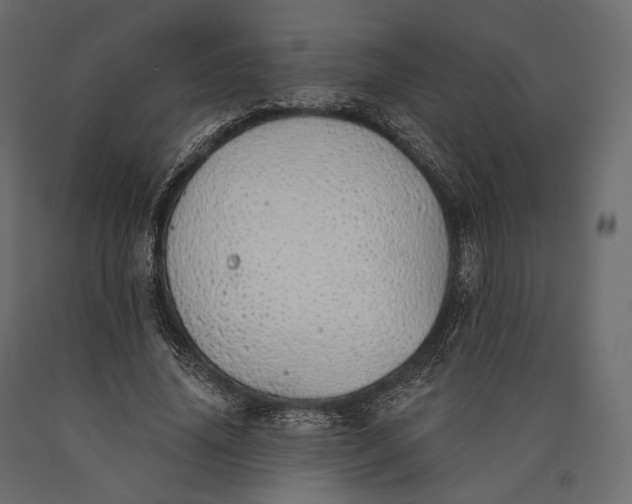 X0000090460636200708031242