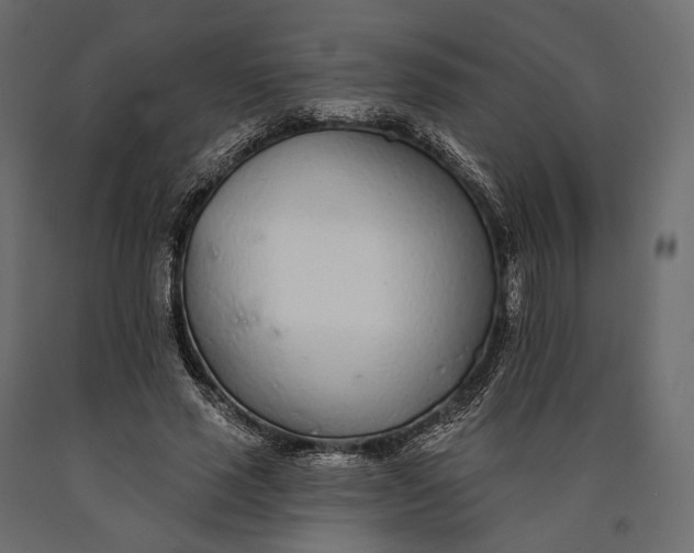 X0000090460637200708031242