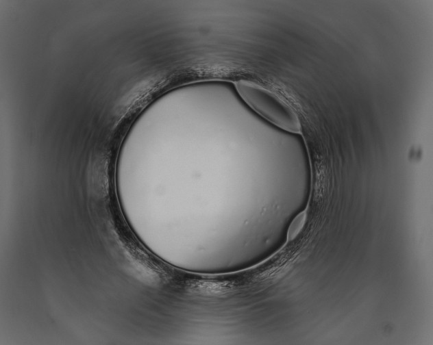 X0000090460638200708031242