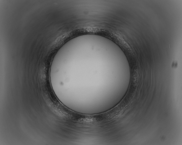 X0000090460639200708031242