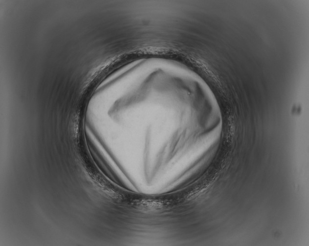 X0000090460640200708031242