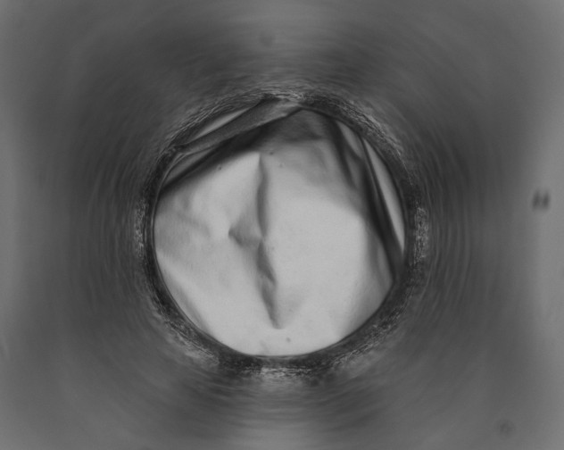 X0000090460641200708031242