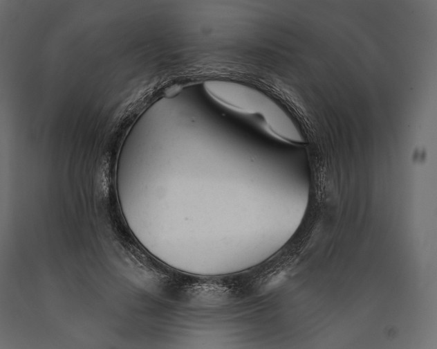 X0000090460644200708031242