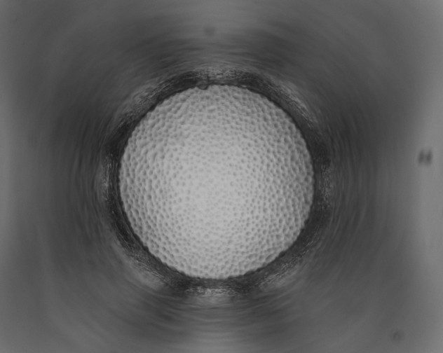 X0000090460645200708031242