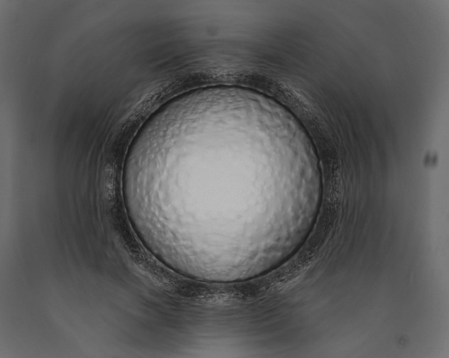 X0000090460646200708031242
