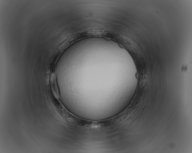 X0000090460647200708031242