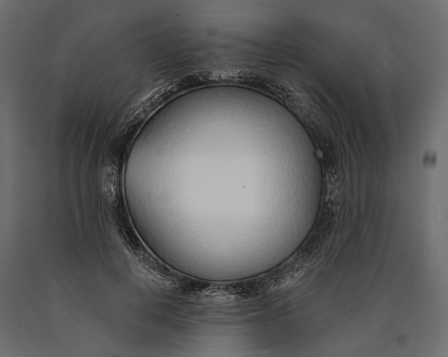 X0000090460648200708031242