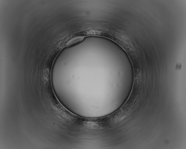 X0000090460649200708031242