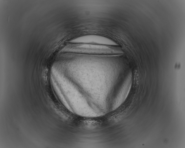 X0000090460650200708031242