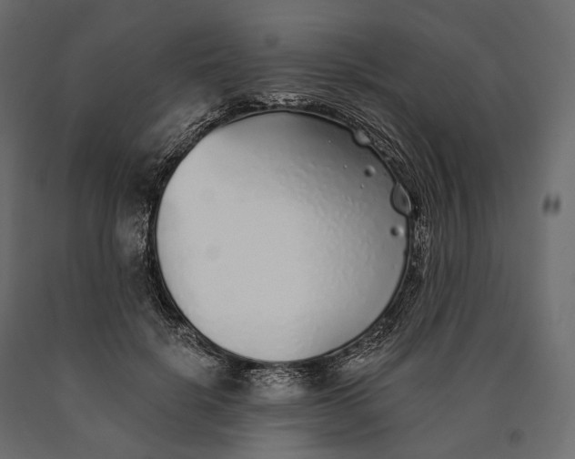 X0000090460652200708031242