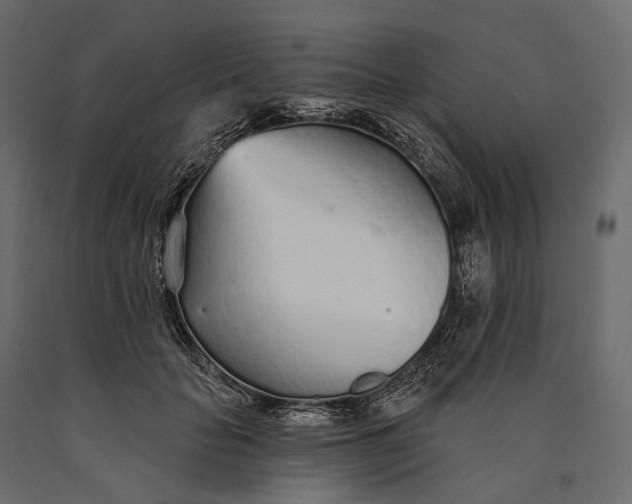 X0000090460653200708031242