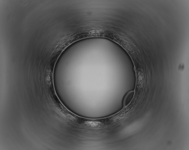 X0000090460654200708031242
