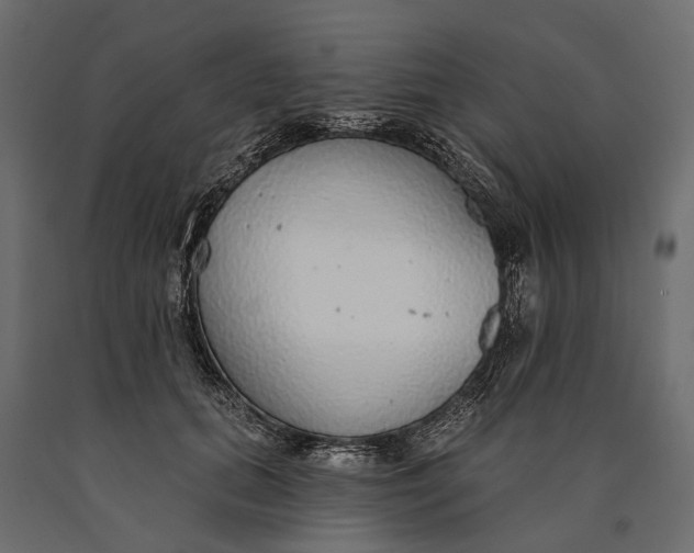 X0000090460655200708031242