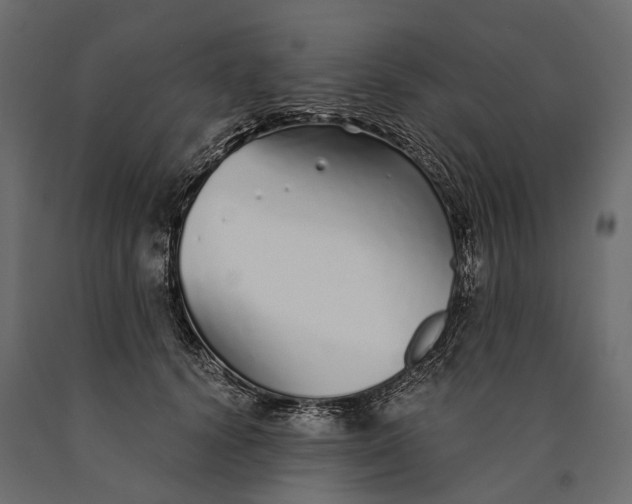 X0000090460656200708031243