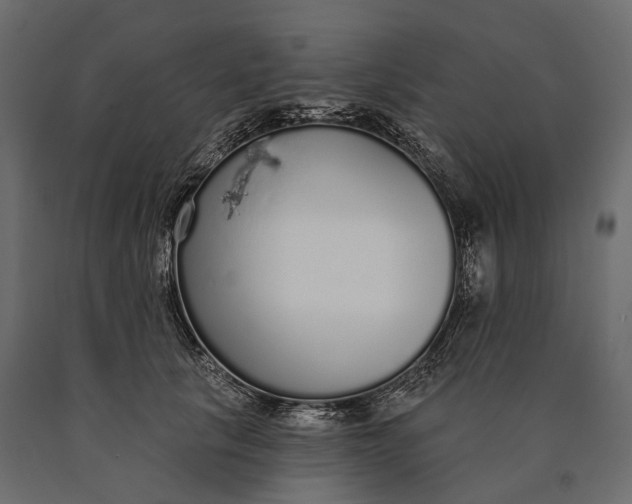 X0000090460657200708031243