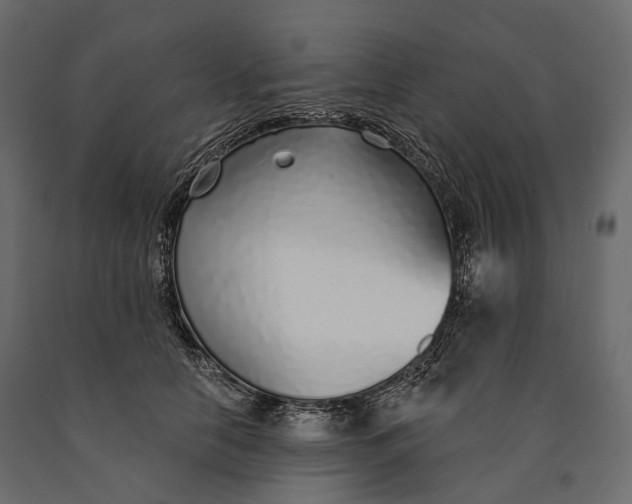 X0000090460658200708031243