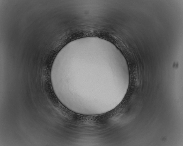 X0000090460659200708031243