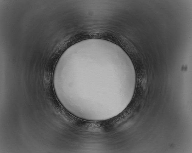 X0000090460660200708031243