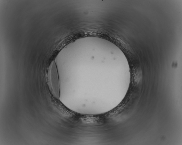 X0000090460661200708031243