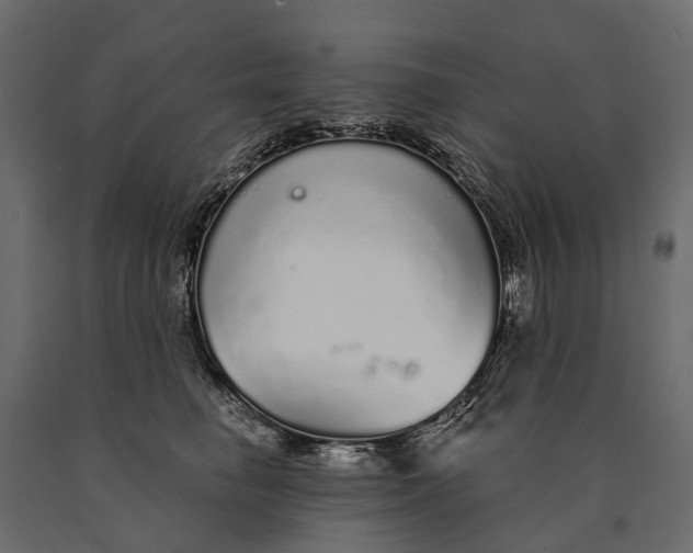 X0000090460662200708031243
