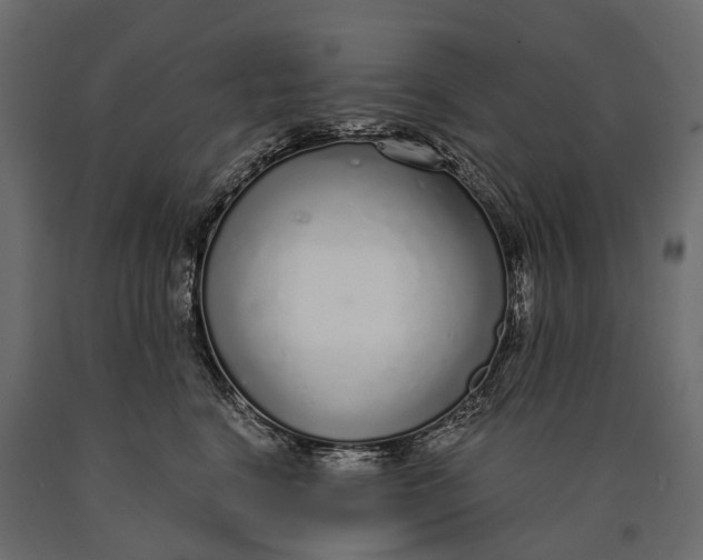 X0000090460664200708031243