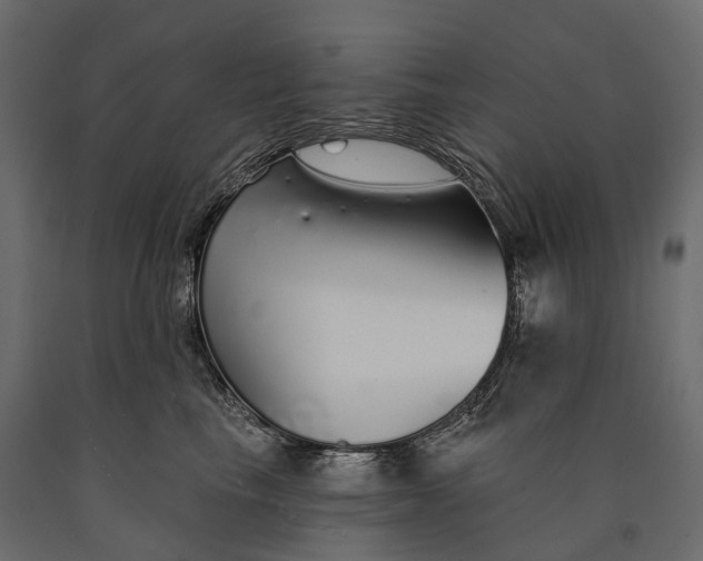 X0000090460665200708031243