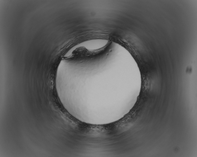 X0000090460666200708031243