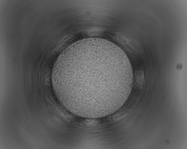 X0000090460667200708031243