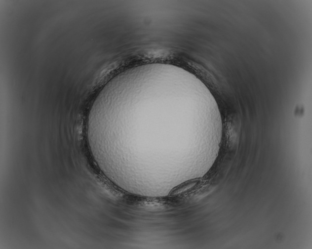 X0000090460668200708031243