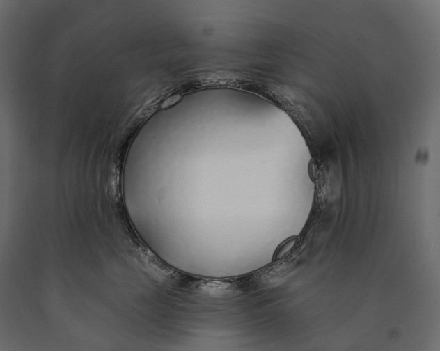 X0000090460669200708031243