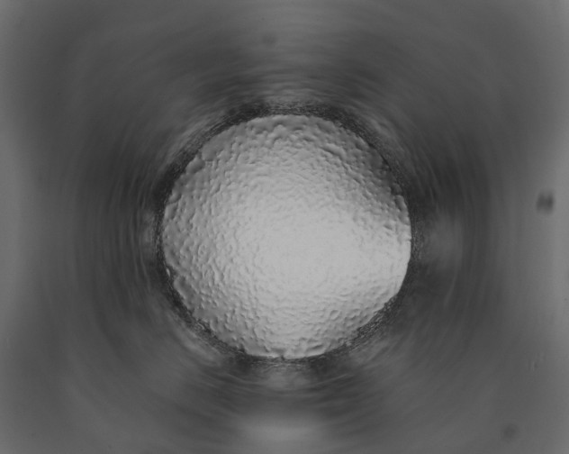 X0000090460670200708031243