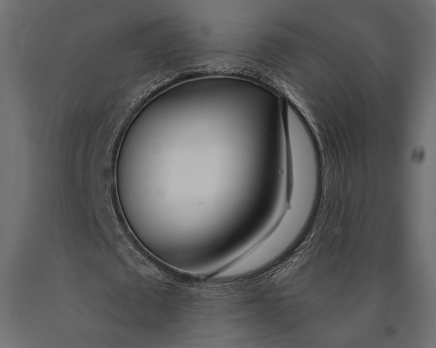 X0000090460673200708031242