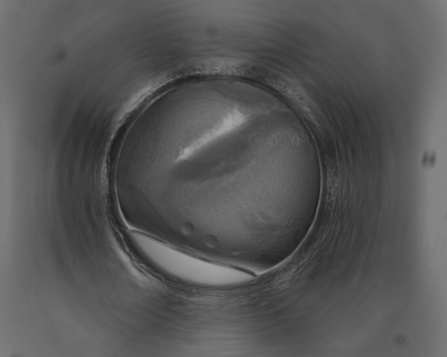X0000090460674200708031242