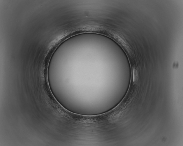 X0000090460675200708031242