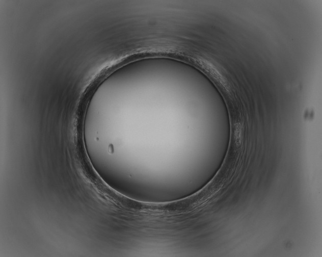 X0000090460676200708031242