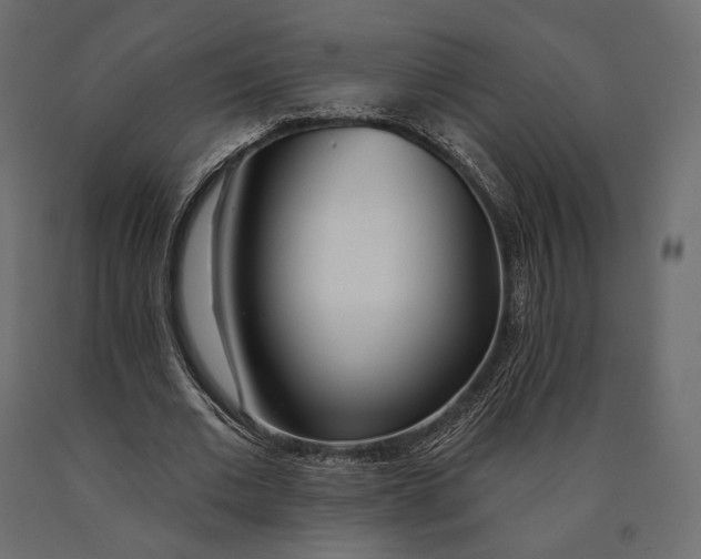 X0000090460677200708031242