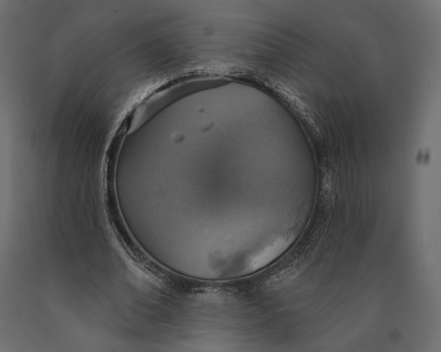 X0000090460678200708031242