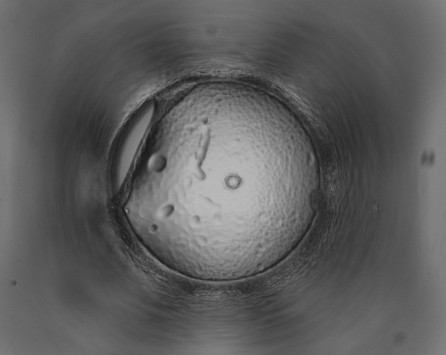X0000090460679200708031242