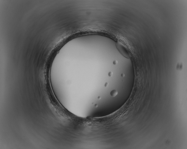 X0000090460680200708031242