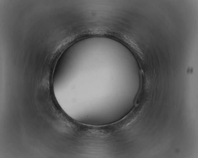 X0000090460681200708031242