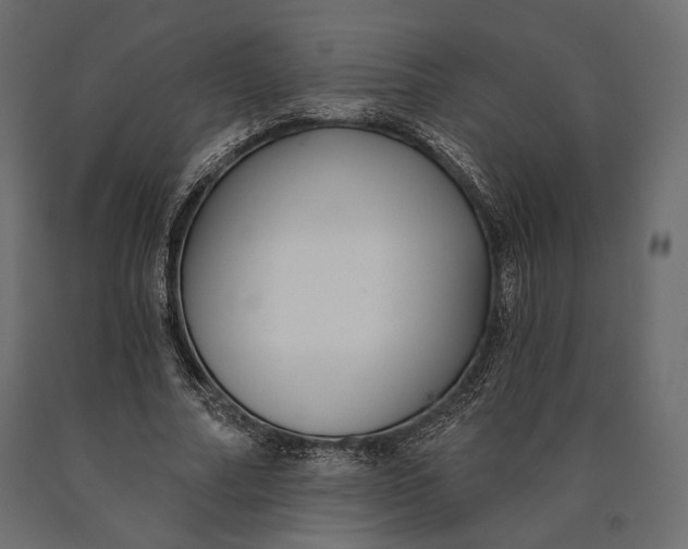 X0000090460682200708031242
