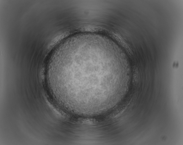 X0000090460683200708031242