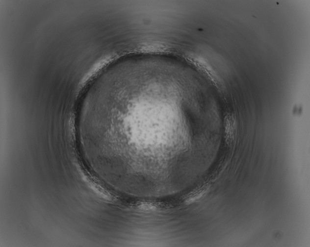 X0000090460684200708031242