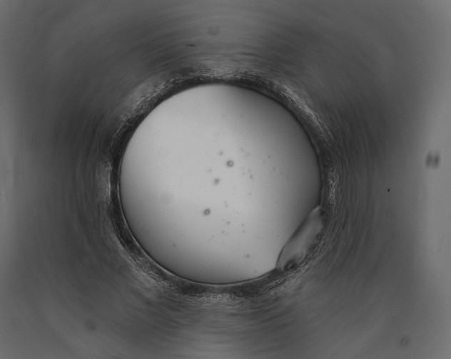X0000090460685200708031242