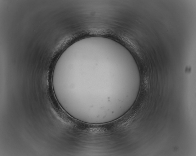 X0000090460686200708031242
